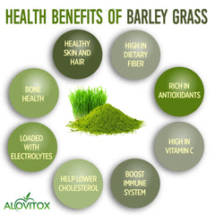 Barley Grass Juice Powder