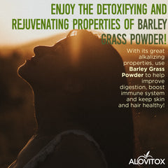 Barley Grass Juice Powder