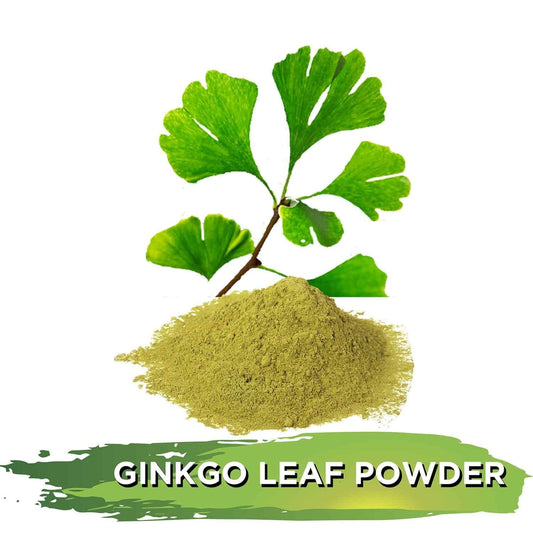 Organic Ginkgo Powder - 8oz