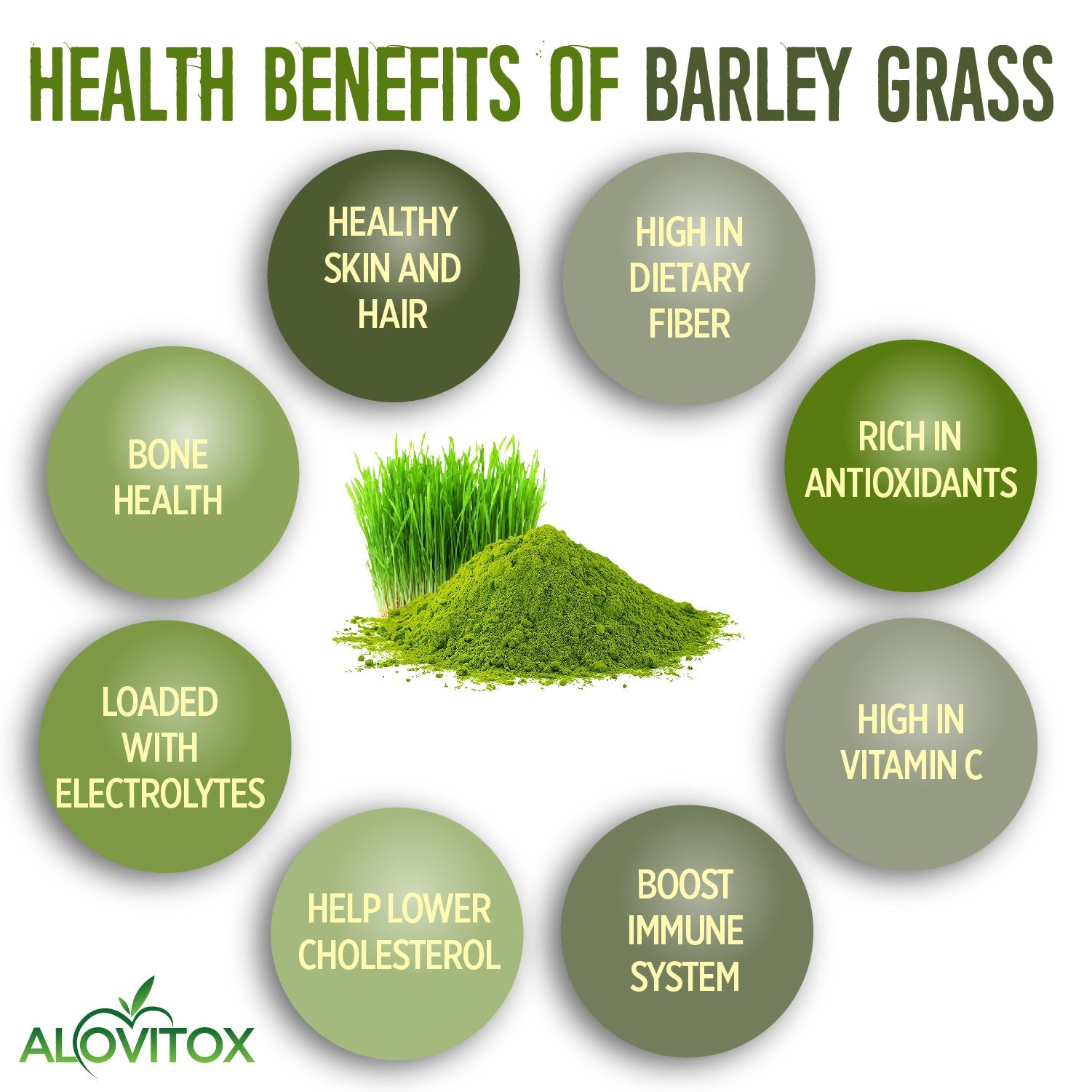 Barley Grass Juice Powder (Wholesale20)