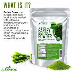 Barley Grass Juice Powder
