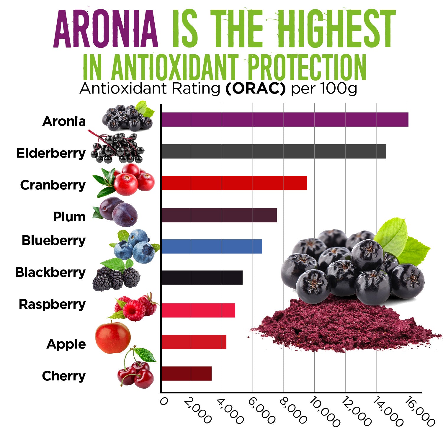 Aronia Berry Juice Powder (Wholesale20)