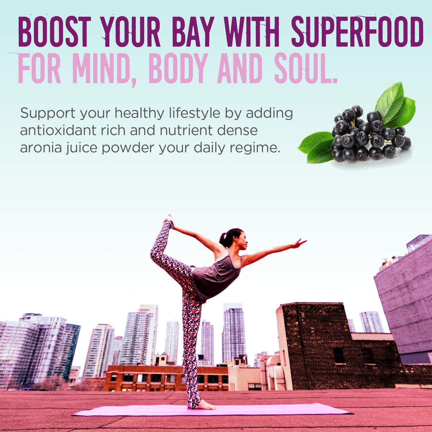 Aronia Berry Juice Powder (Wholesale20)