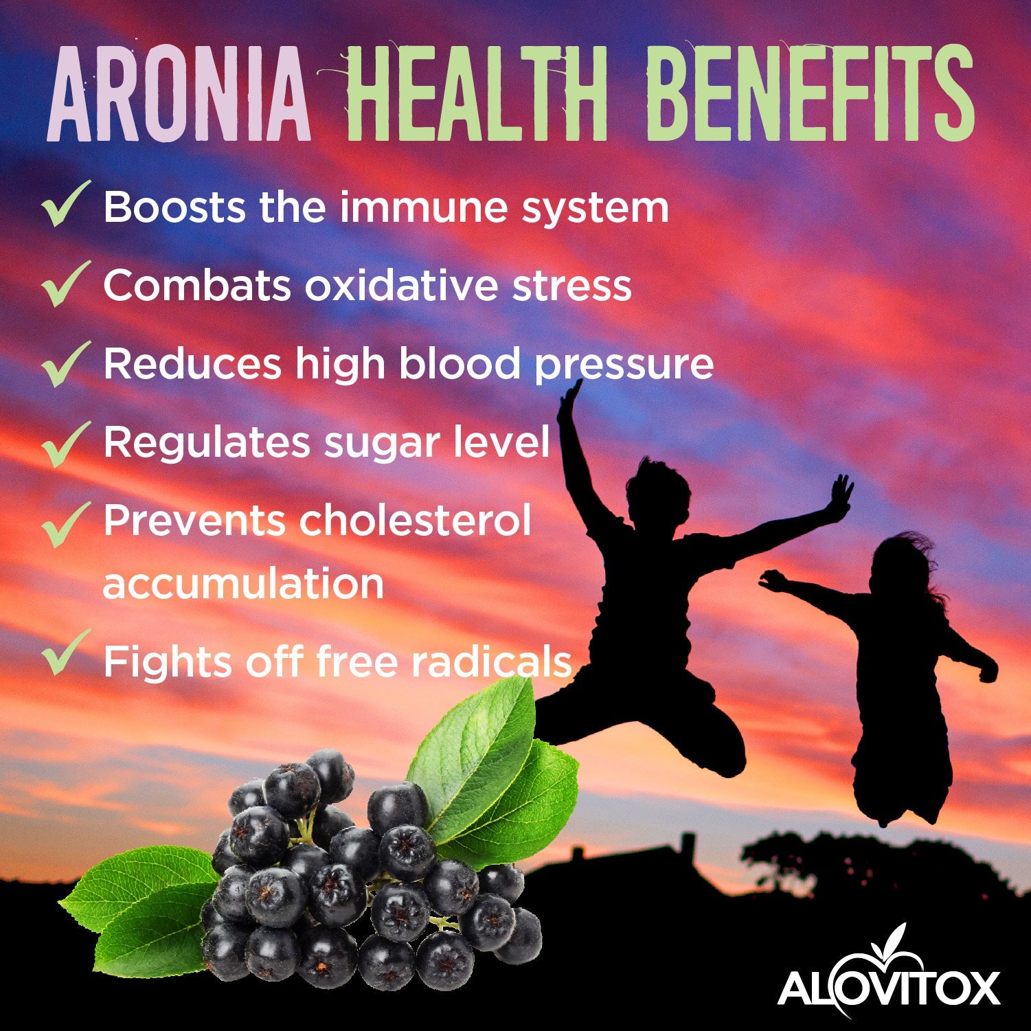 Aronia Berry Juice Powder (Wholesale20)