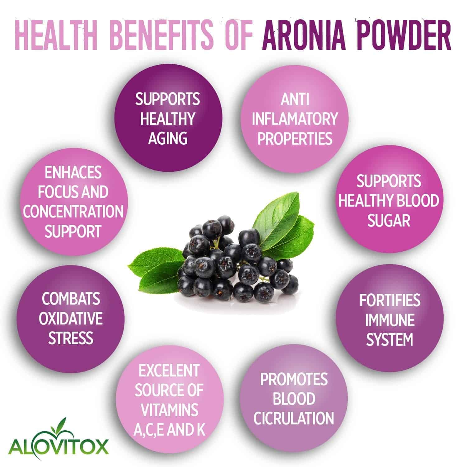 Aronia Berry Juice Powder (Wholesale20)