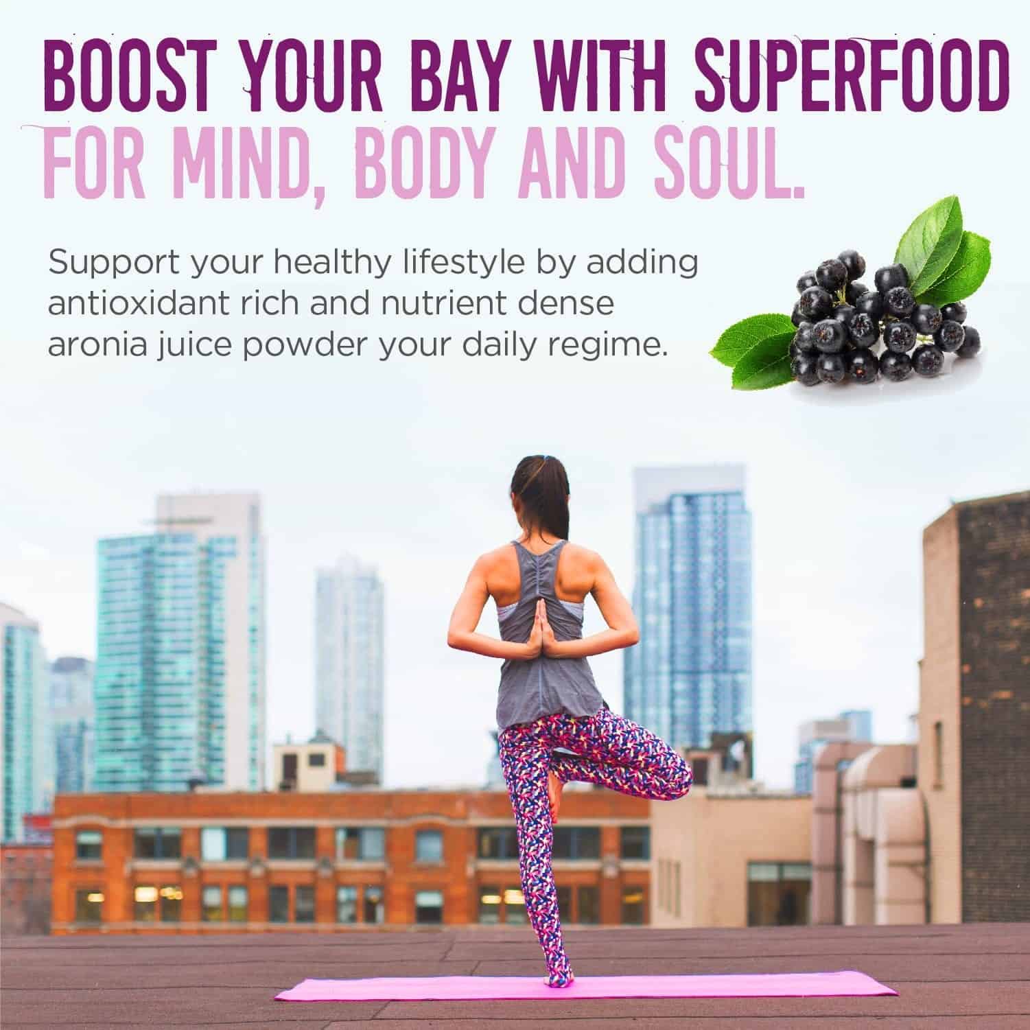 Aronia Berry Juice Powder (Wholesale20)