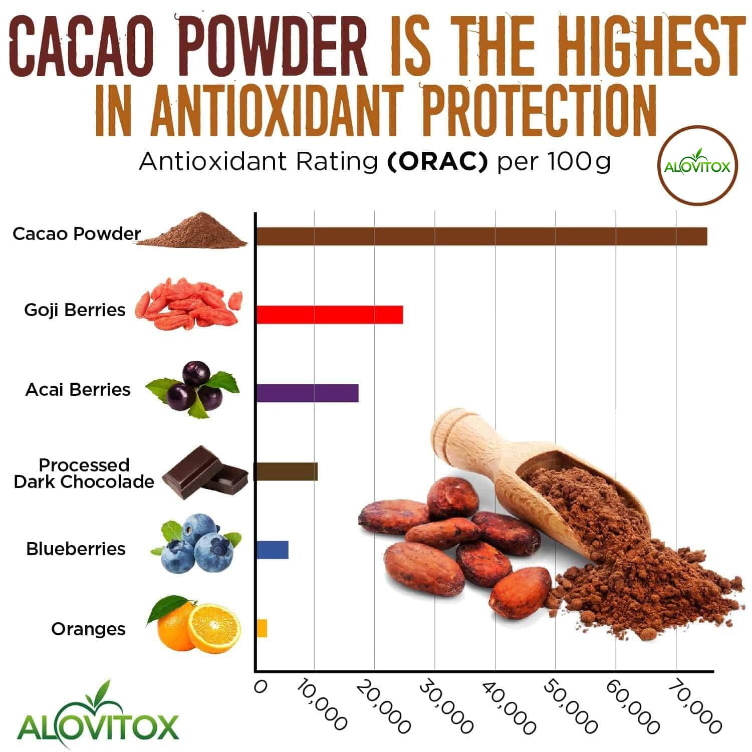 Cacao Powder (Wholesale20)