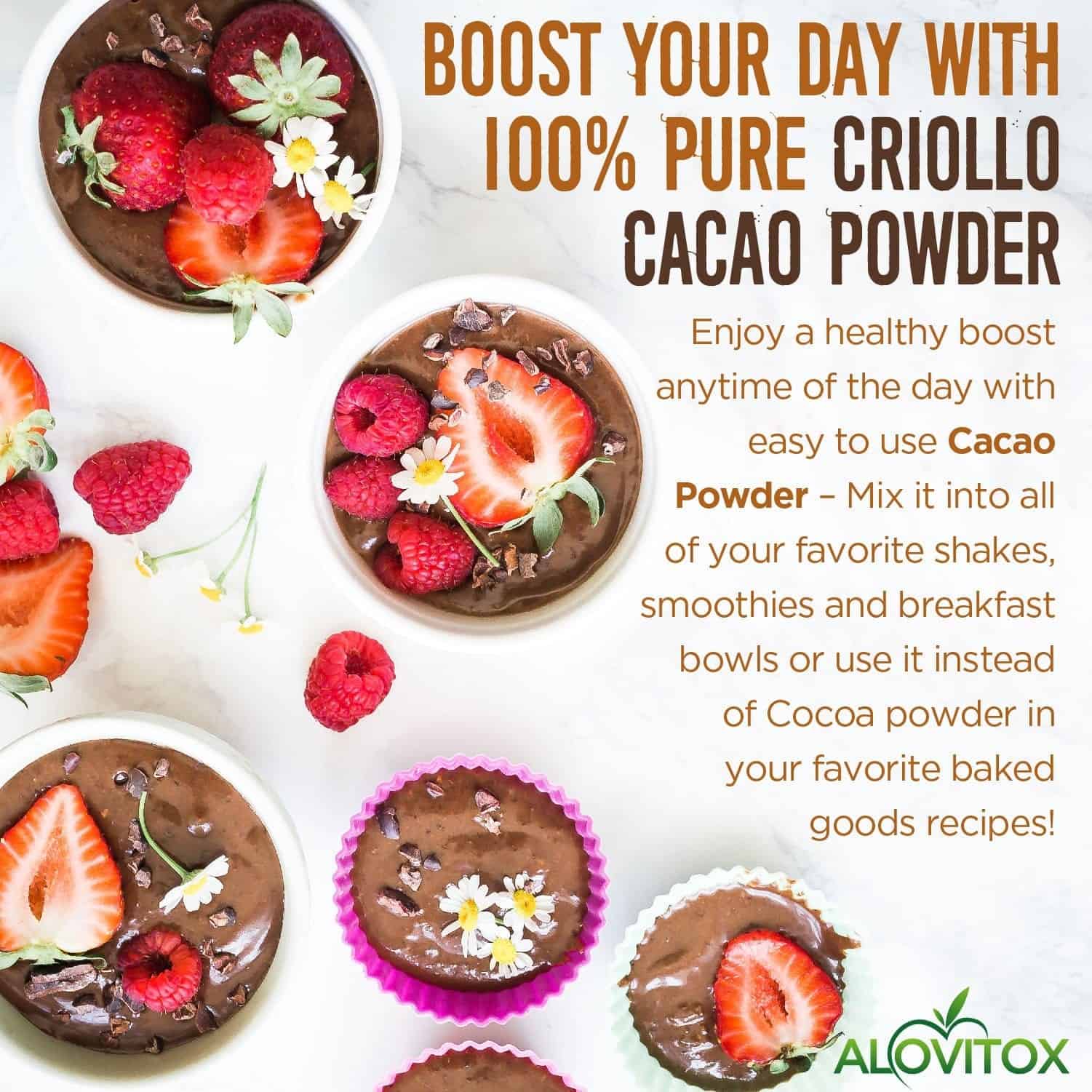 Cacao Powder (Wholesale20)