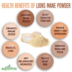 Lion’s Mane Mushroom Powder