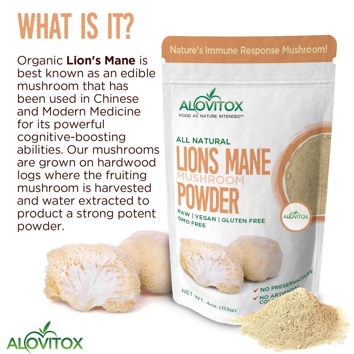 Lion’s Mane Mushroom Powder