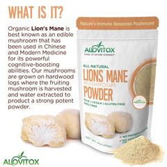 Lion’s Mane Mushroom Powder