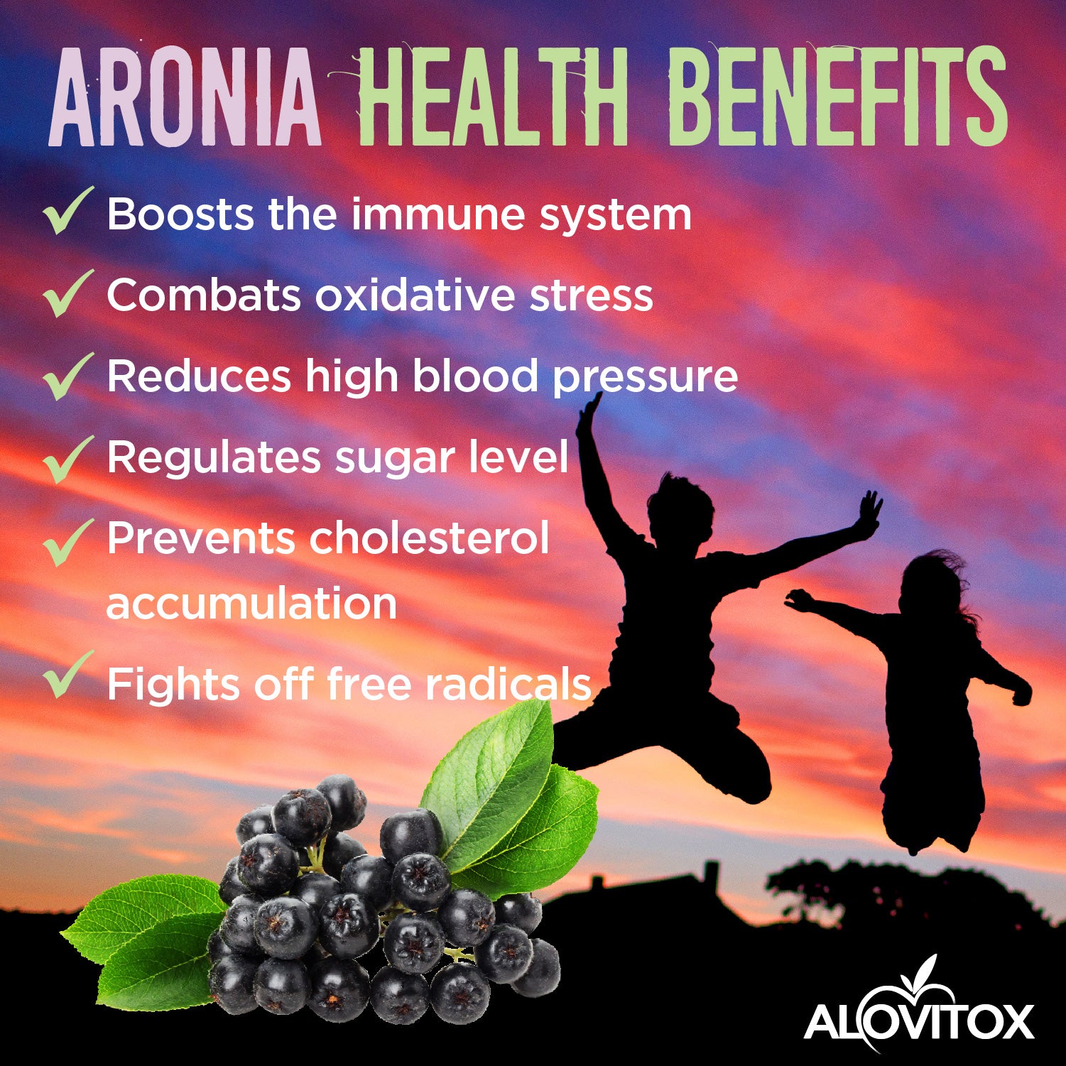 Aronia Berry Juice Powder